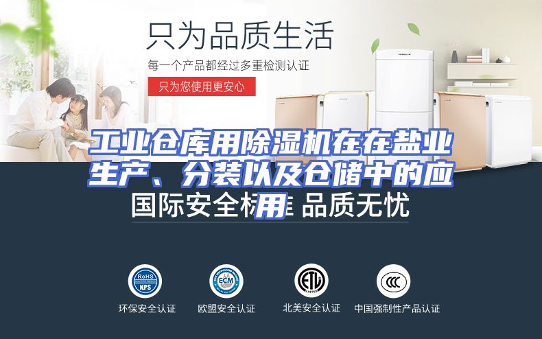 工业仓库用除湿机在在盐业生产、分装以及仓储中的应用