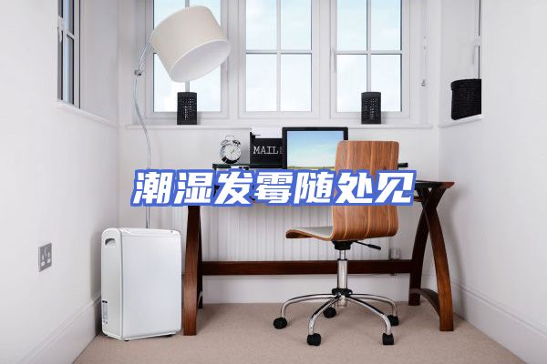 潮湿发霉随处见