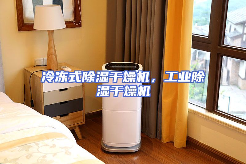 冷冻式除湿干燥机，工业除湿干燥机