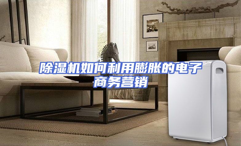 除湿机如何利用膨胀的电子商务营销