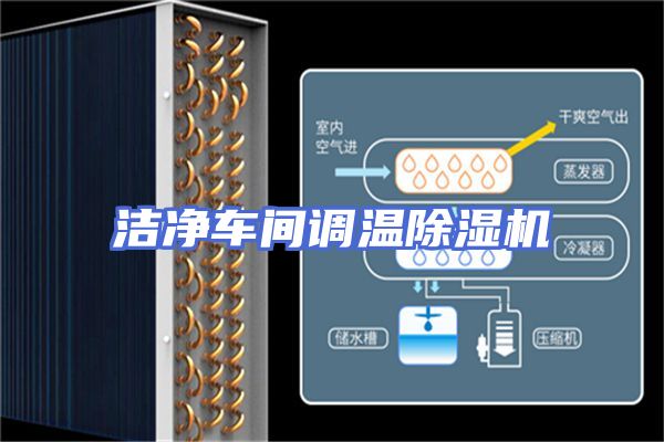 洁净车间调温除湿机