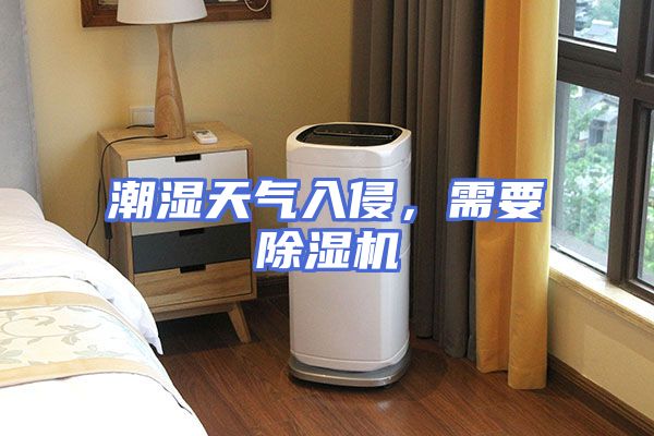 潮湿天气入侵，需要除湿机