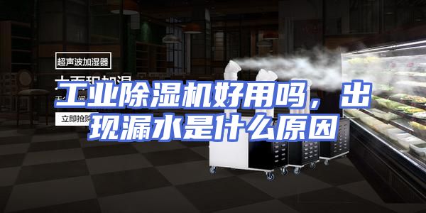 工业除湿机好用吗，出现漏水是什么原因