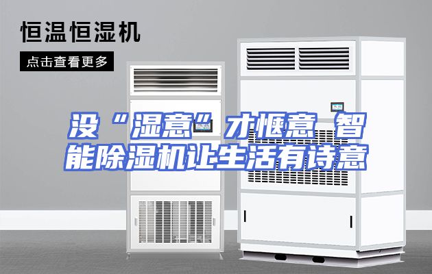 没“湿意”才惬意 智能除湿机让生活有诗意