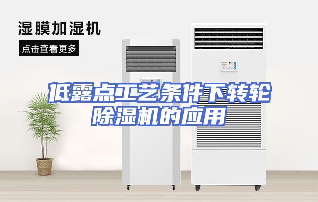 低露点工艺条件下转轮除湿机的应用