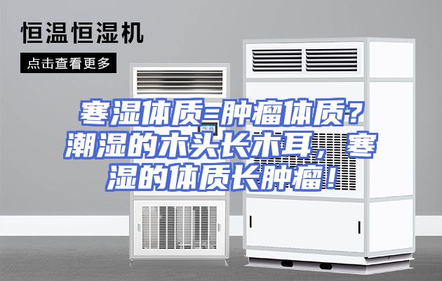 寒湿体质=肿瘤体质？潮湿的木头长木耳，寒湿的体质长肿瘤！