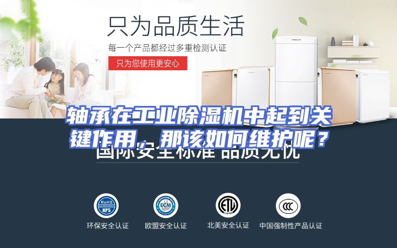 轴承在工业除湿机中起到关键作用，那该如何维护呢？