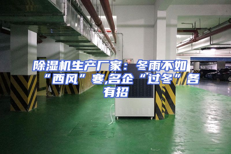 除湿机生产厂家：冬雨不如“西风”寒,名企“过冬”各有招