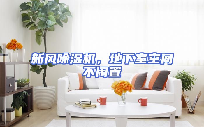 新风除湿机，地下室空间不闲置
