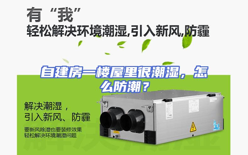 自建房一楼屋里很潮湿，怎么防潮？