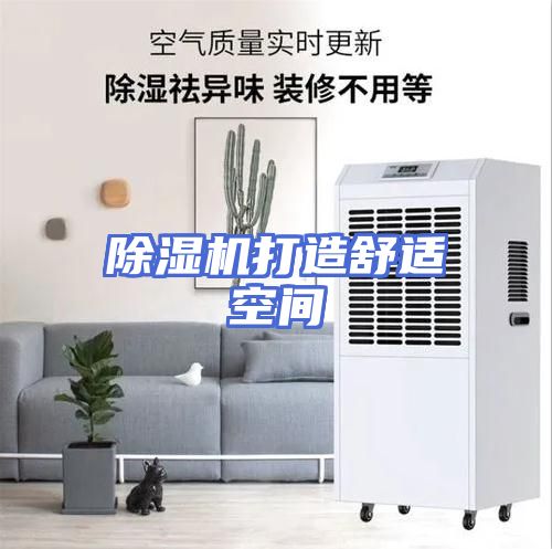 除湿机打造舒适空间