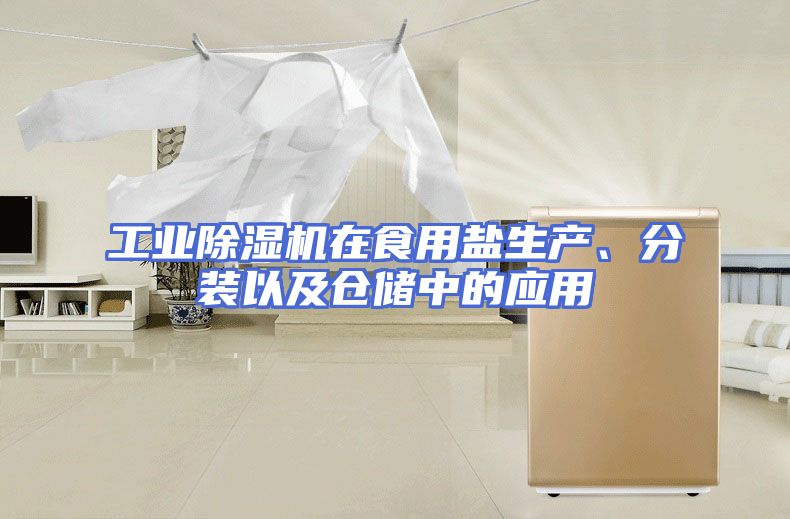 工业除湿机在食用盐生产、分装以及仓储中的应用