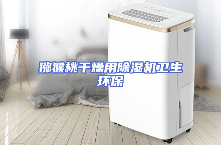 猕猴桃干燥用除湿机卫生环保