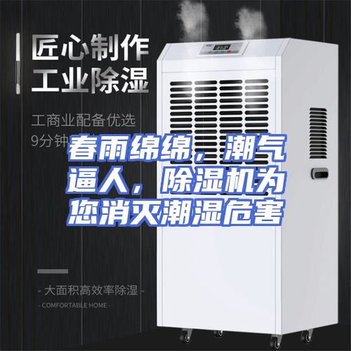 春雨绵绵，潮气逼人，除湿机为您消灭潮湿危害