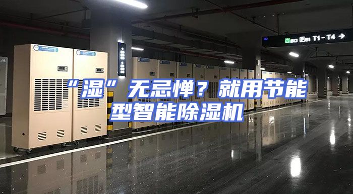 “湿”无忌惮？就用节能型智能除湿机