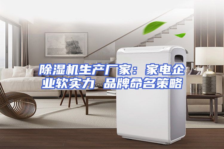 除湿机生产厂家：家电企业软实力 品牌命名策略