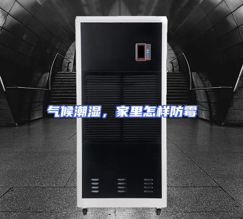 气候潮湿，家里怎样防霉