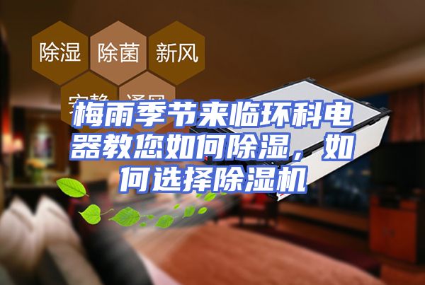 梅雨季节来临环科电器教您如何除湿，如何选择除湿机