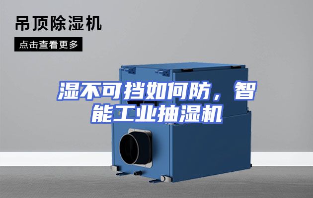 湿不可挡如何防，智能工业抽湿机