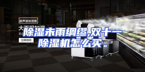 除湿未雨绸缪,双十一除湿机怎么买。