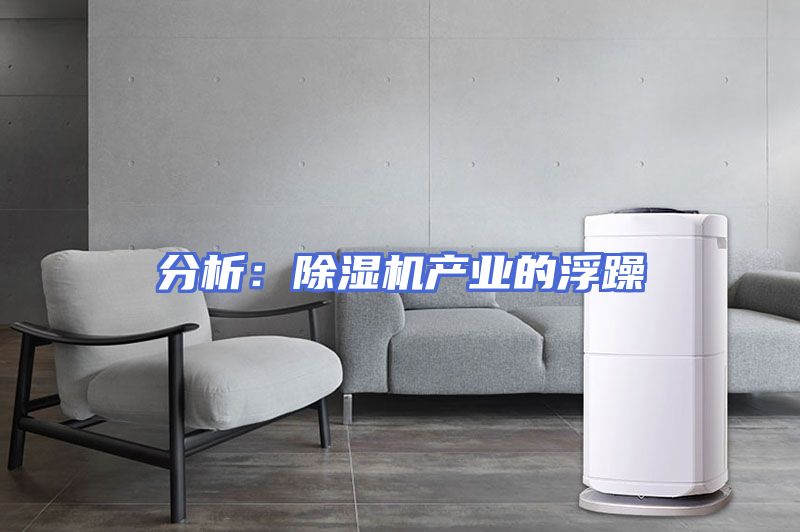 分析：除湿机产业的浮躁