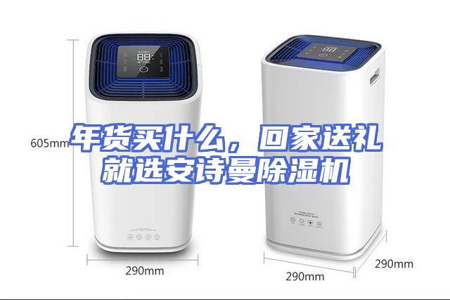 年货买什么，回家送礼就选安诗曼除湿机