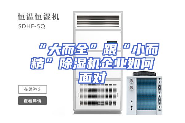 “大而全”跟“小而精”除湿机企业如何面对