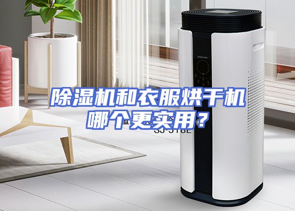除湿机和衣服烘干机哪个更实用？