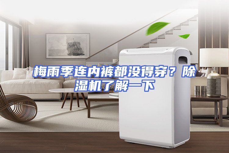 梅雨季连内裤都没得穿？除湿机了解一下