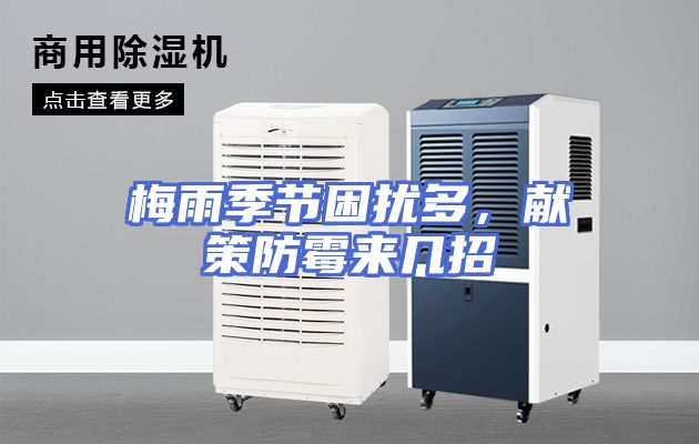 梅雨季节困扰多，献策防霉来几招