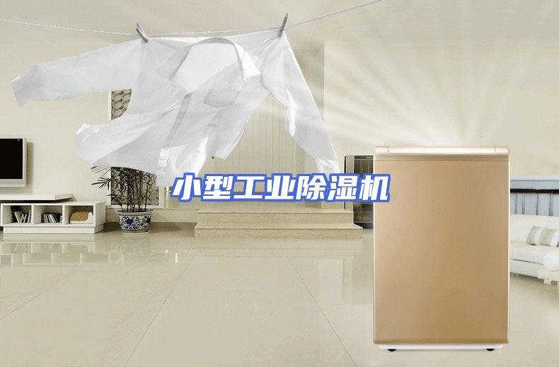 小型工业除湿机