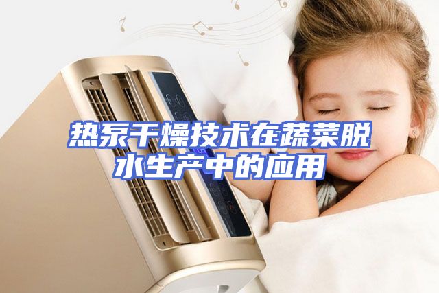 热泵干燥技术在蔬菜脱水生产中的应用