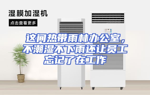 这间热带雨林办公室，不潮湿不下雨还让员工忘记了在工作