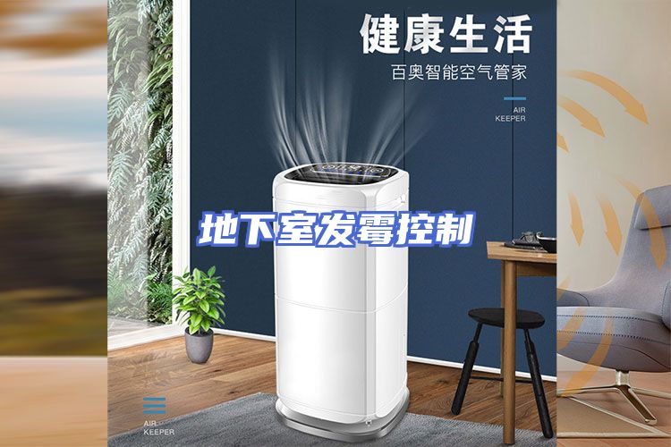 地下室发霉控制
