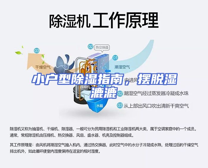 小户型除湿指南，摆脱湿漉漉