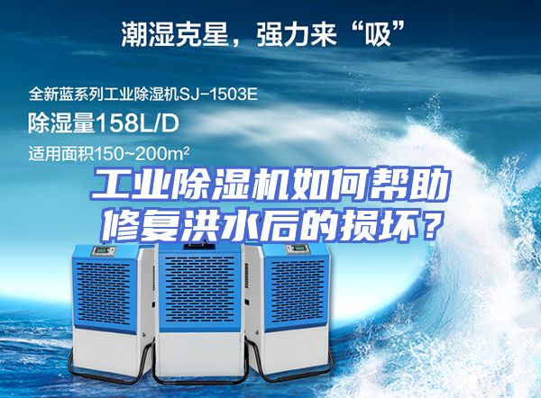 工业除湿机如何帮助修复洪水后的损坏？