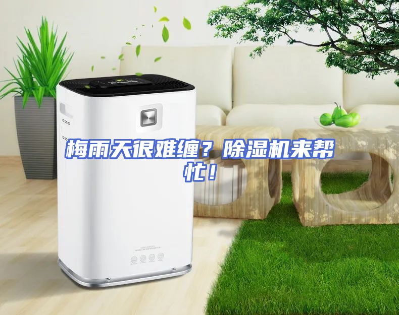 梅雨天很难缠？除湿机来帮忙！