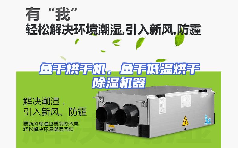 鱼干烘干机，鱼干低温烘干除湿机器