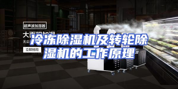 冷冻除湿机及转轮除湿机的工作原理