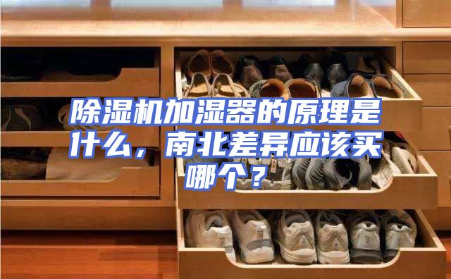除湿机加湿器的原理是什么，南北差异应该买哪个？