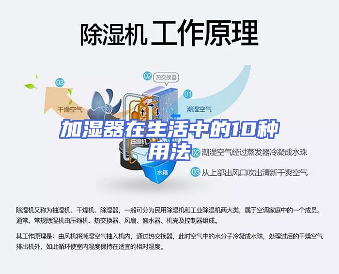 加湿器在生活中的10种用法