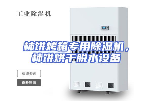 柿饼烤箱专用除湿机，柿饼烘干脱水设备