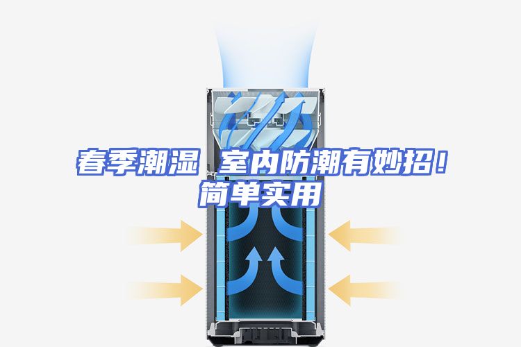 春季潮湿 室内防潮有妙招！简单实用