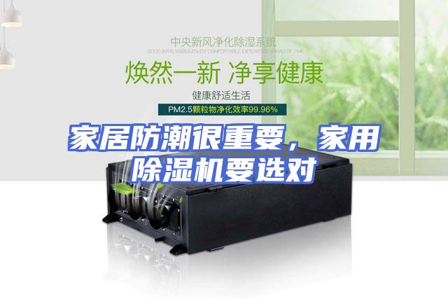 家居防潮很重要，家用除湿机要选对