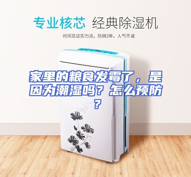 家里的粮食发霉了，是因为潮湿吗？怎么预防？