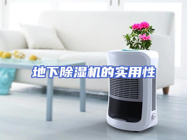 地下除湿机的实用性