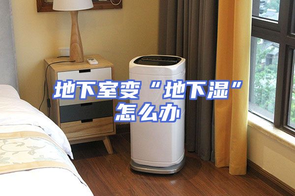 地下室变“地下湿”怎么办