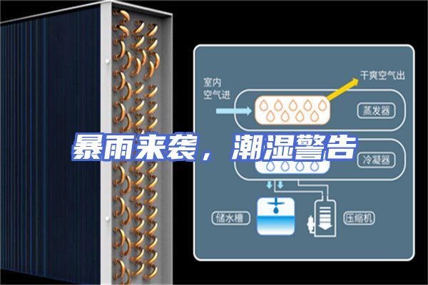 暴雨来袭,潮湿警告