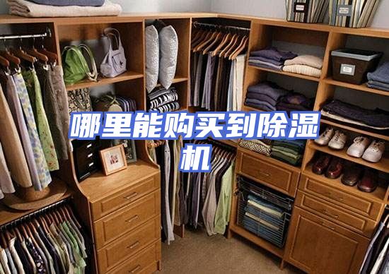 哪里能购买到除湿机