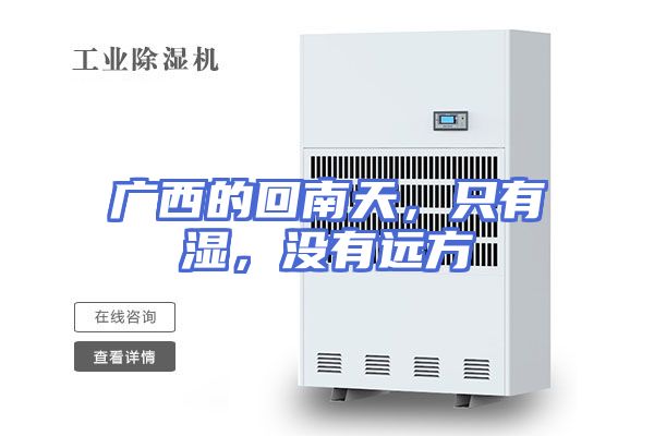 广西的回南天，只有湿，没有远方